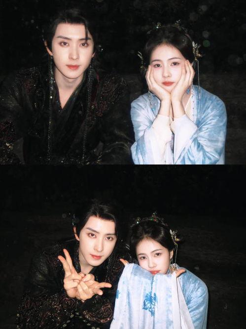 卓伟爆料白鹿视频在线观看